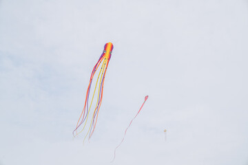 Dragon shaped kites in parks in Suzhou, Jiangsu Province, China, during the spring holiday on May 1, 2024