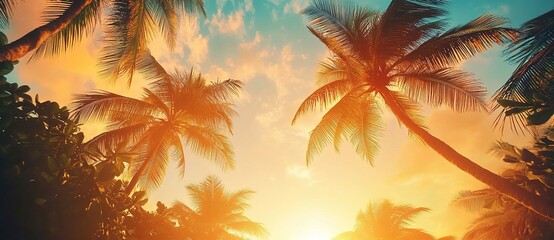 Fototapeta premium Sunny tropical background with palm trees against a sunset sky. Beautiful summer landscape. 