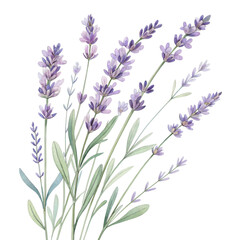 Naklejka premium A bouquet of delicate lavender flowers with green stems and leaves, showcasing shades of purple and intricate details.