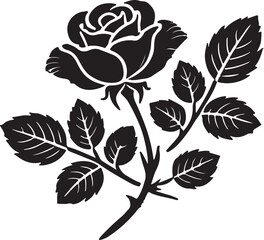 black and white flower rose.