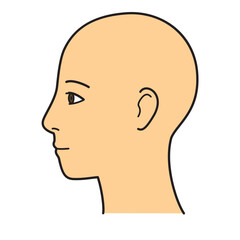顔　横顔　左向き　カラー