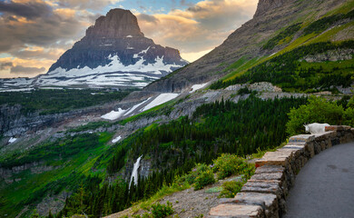 Mountain Goat Admires the Sunset Scenery on the Going to the Sun Road, Glacier National Park,...
