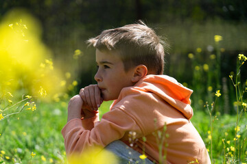 Pensive child contemplating nature in a field of yellow flowers