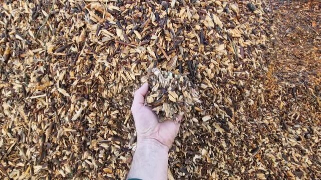 mulch bark. pieces of wood chips to prevent weed growth and weed germination. branch crusher, cleaning of shrubs and invasive species.  grow under the high voltage wire