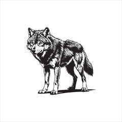 Wolf Packs: Strength in Numbers