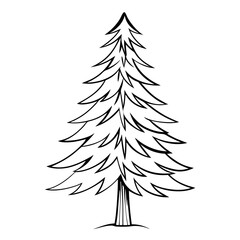 Obraz premium Pine tree