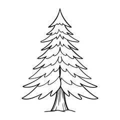 Pine tree