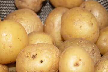 Close up of boiled salad baby potatoes cooked