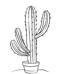 Cactus 