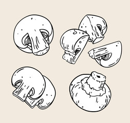 A Collection of HandDrawn Mushrooms Perfectly Suited for Culinary Design Projects