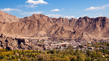 Aerial view of Leh city, Ladakh, India