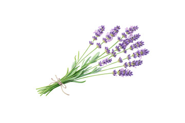 Naklejka premium A delicate bundle of lavender flowers, tied with twine. The soft purple blooms and green stems create a soothing, rustic charm, isolated on a transparent background