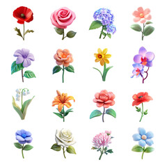 PNG 3D flower design element set, transparent background
