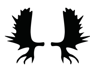 Obraz premium Geweih, Hirsch, Reh, Outdoor - Vektor