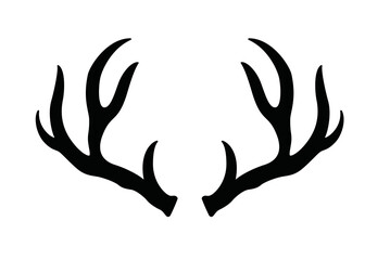 Geweih, Hirsch, Reh, Outdoor - Vektor