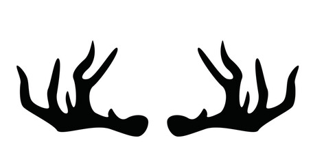Obraz premium Geweih, Hirsch, Reh, Outdoor - Vektor