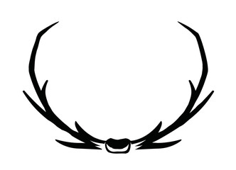 Geweih, Hirsch, Reh, Outdoor - Vektor