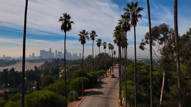 Aerial view of Los Angeles skyline, California, United States.