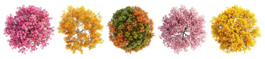 PNG Colorful vibrant blooming trees, element set on transparent background