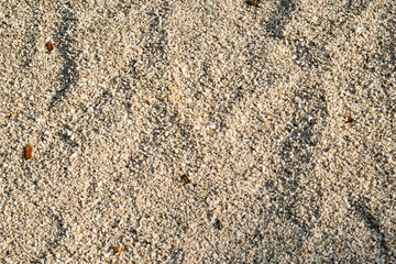 The rough texture of the stones invites touch and exploration. 