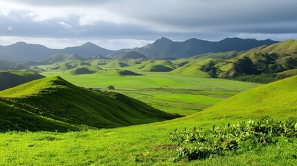 Obraz premium Rolling Green Hills Landscape