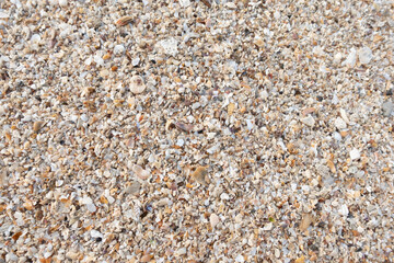 Sand texture. Coarse gravelly sand texture