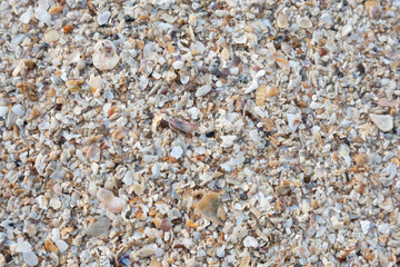 Gold sand texture. Grains rough surface texture material background