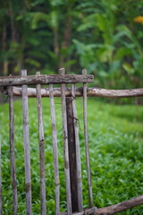 a fence at the garden