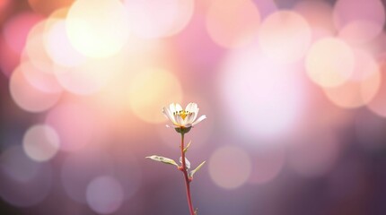 Obraz premium flower