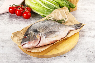Raw dorada fish served rosemary