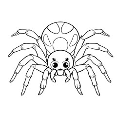 Spider