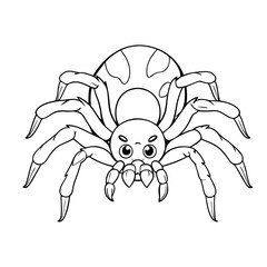 Spider