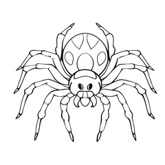 Spider