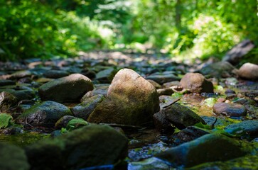 Stone road in the forest
