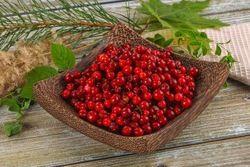 Natural organic wild forwst lingonberry