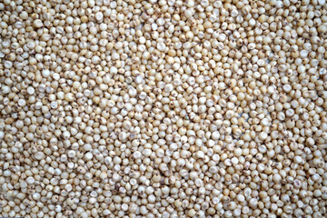Sorghum grains seeds, grains background texture.