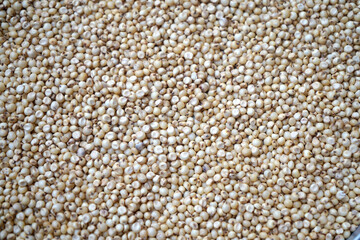 Sorghum grains seeds, grains background texture.