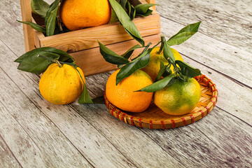 Ripe sweet tangerines heap with leaves