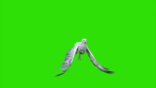 Green Screen Hippogriff Mythological Creature Fly Loop Front 3D Animation Rendering CGI 4K