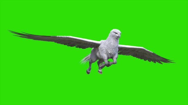 Green Screen Hippogriff Mythological Creature Gliding Loop 3D Animation Rendering CGI 4K