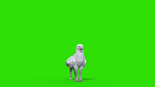 Green Screen Hippogriff Mythological Creature Idle Loop Front 3D Animation Rendering CGI 4K