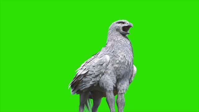 Green Screen Hippogriff Mythological Creature Idle Loop 3D Animation Rendering CGI 4K