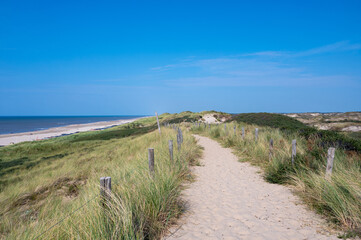 Path through the dunes with fence and beach grass on the North Sea coast