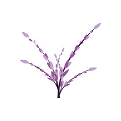 Bouquet of lavender isolated on a white background. Vector flowers, branches, bouquets of lavender, in Provence style, in eps 10 format. Design element for print and web.
