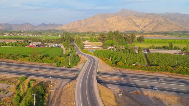 Fields of Sunflowers and Endless Beauty, buin, metropolitan region, Chile