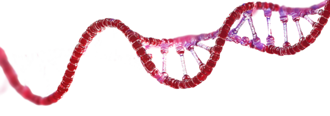 DNA helix 3D illustration. Science, education, research. Human genome, genetic engineering