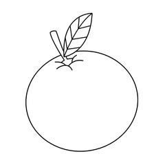 apple with leaf