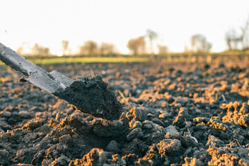 Shovel lifting a heap of soil during sunset on farmland. Symbolic of agricultural labor and preparation for planting season in the rural countryside