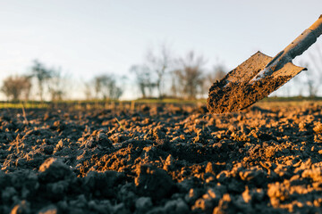 Shovel lifting a heap of soil during sunset on farmland. Symbolic of agricultural labor and preparation for planting season in the rural countryside