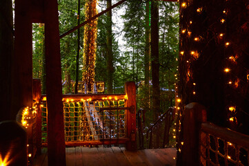 Christmas lights on tall old grow trees. rainforest of the Pacific coast of Canada. Capilano Suspension Bridge Park in December. North Vancouver, Canada